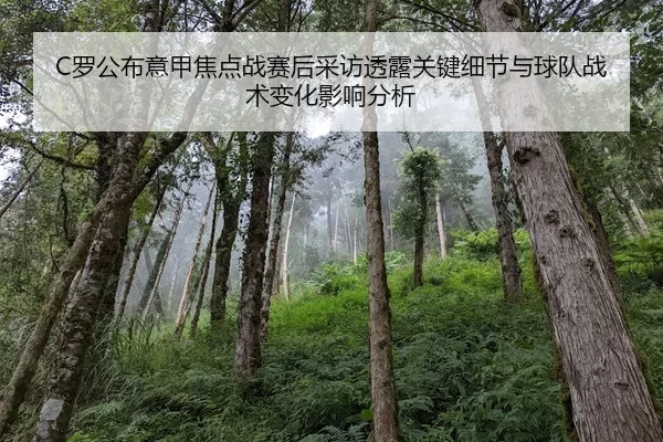 luo-gong-bu-yi-jia-jiao-dian-zhan-sai-hou-cai-fang-tou-lu-guan-jian-xi-jie-yu-qiu-dui-zhan-shu-bian-hua-ying-xiang-fen-2-513.jpg